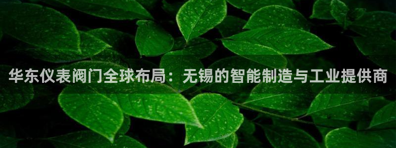 九游会ag手游网