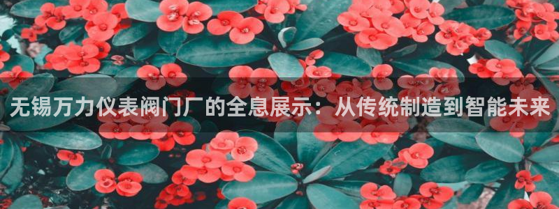 九游会网站打不开