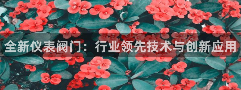 九游会官方网站