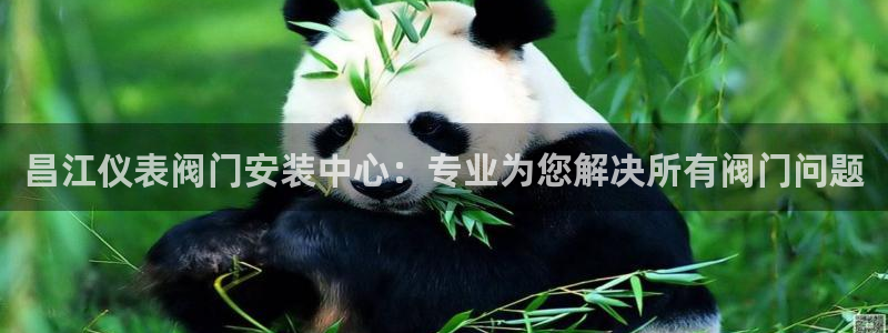 九游会AGapp下载