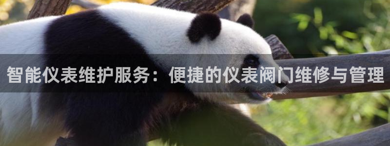 九游会平台网站