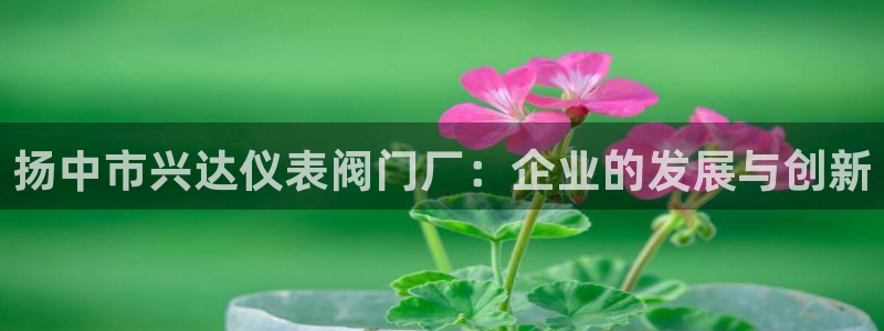 九游会体育比分