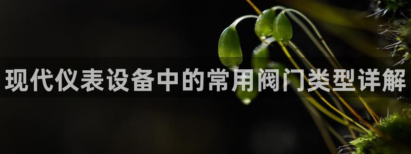 九游会赌钱
