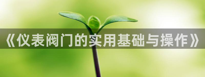 亚游游戏九游会