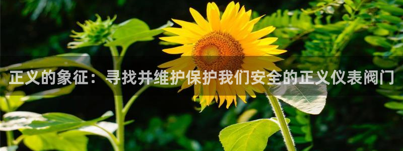 ag九游会真人