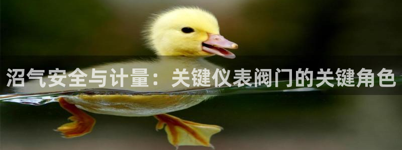 九游会j9国际站