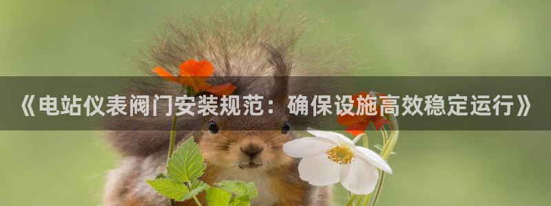 九游会官网入口在哪里