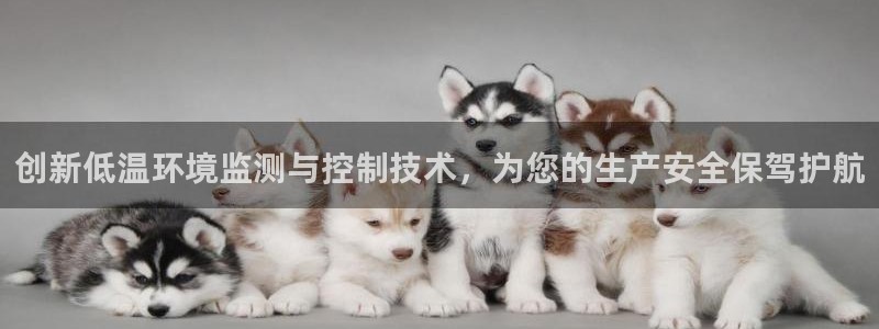 尊龙凯时九游会哪个靠谱