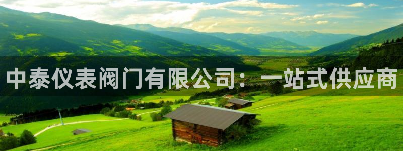担保网九游会