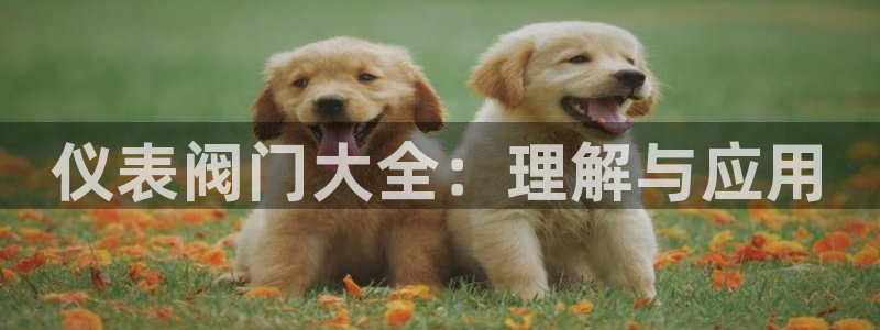 亚游停运转九游会