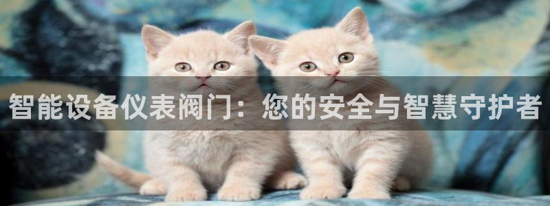 m九游会