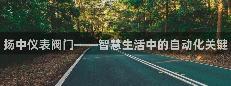 轩辕传奇手游九州摘星会