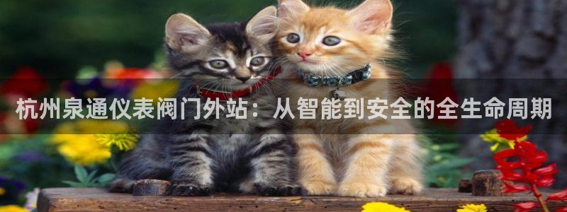 九游会官网网页版入口