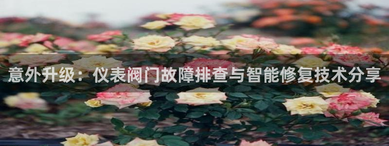 九游会ag 只为非凡