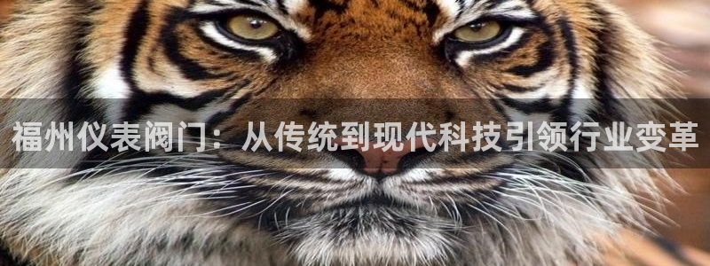 收九游会