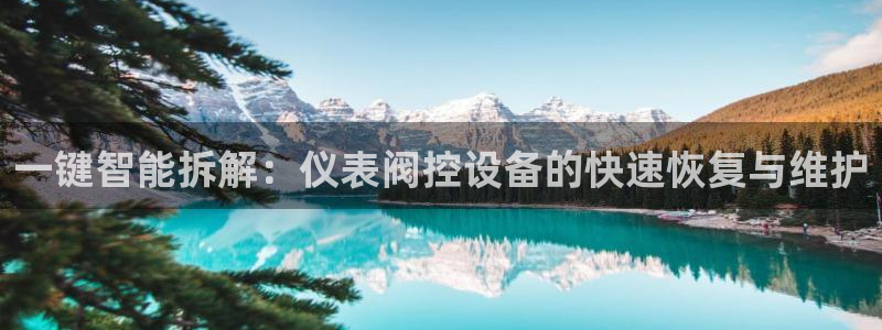 立即充值   九游会