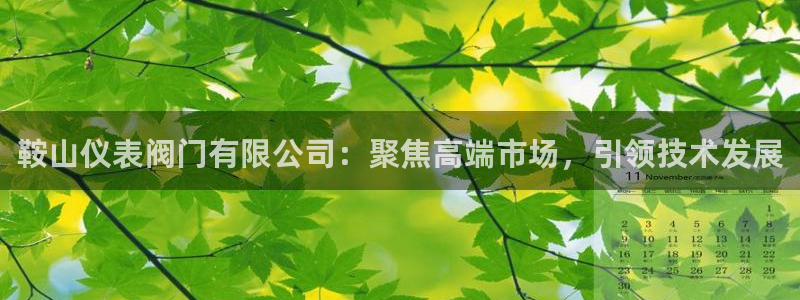 九游会官网入口在哪找
