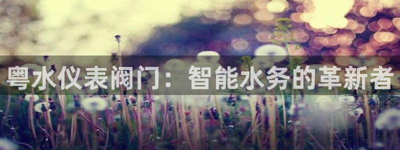 ag九游会官网VIP