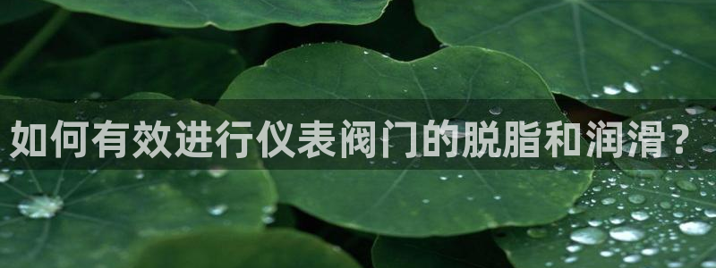 j9币九游会