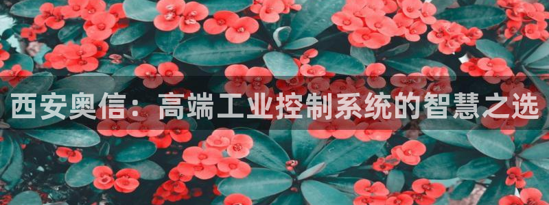 九游会网站登录手机