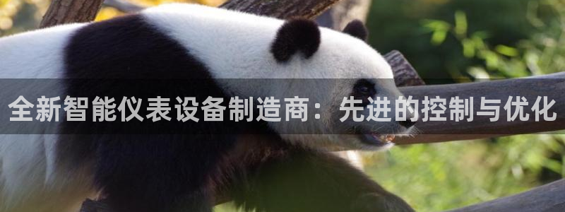 九游会jy357