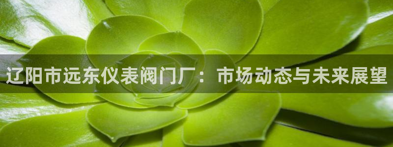 j9九游会公司