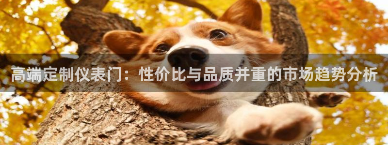 九游会官网入口在哪里