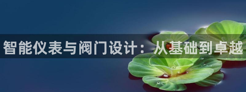 j9九游会备用网站