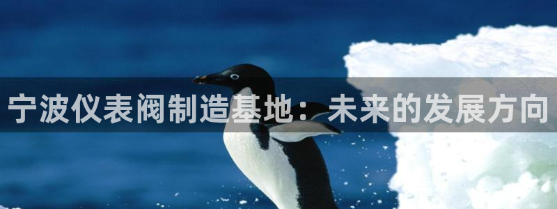 九游会官网手机版