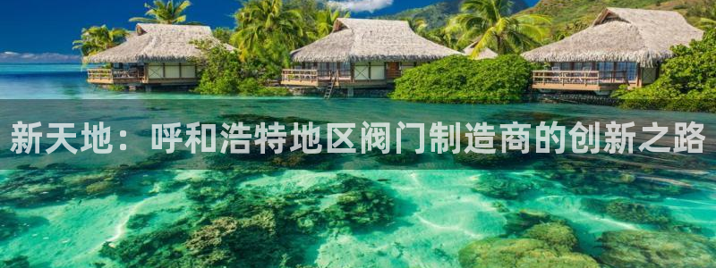 改名九游会