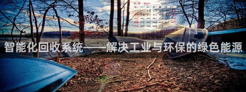 哪个才是九游会