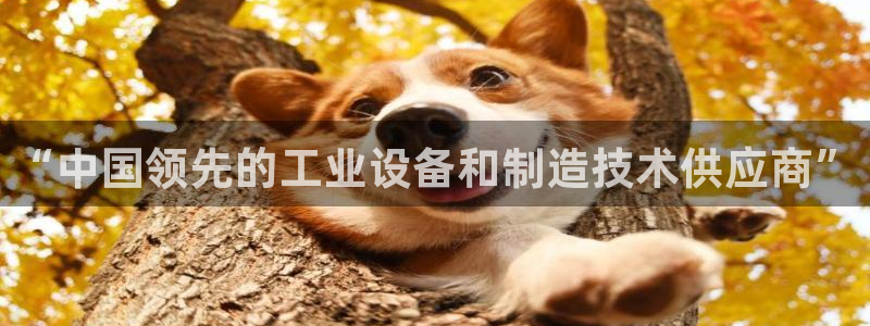 九游会进入