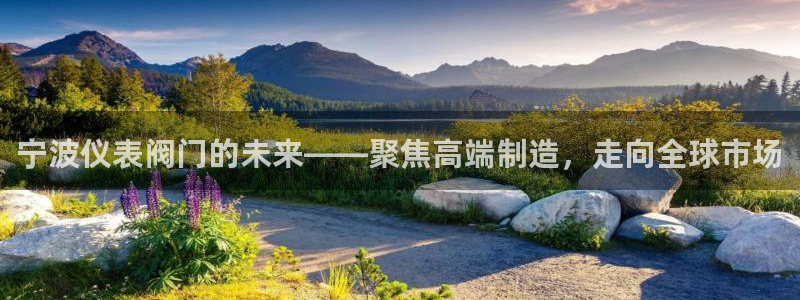 九游会ag 只为非凡