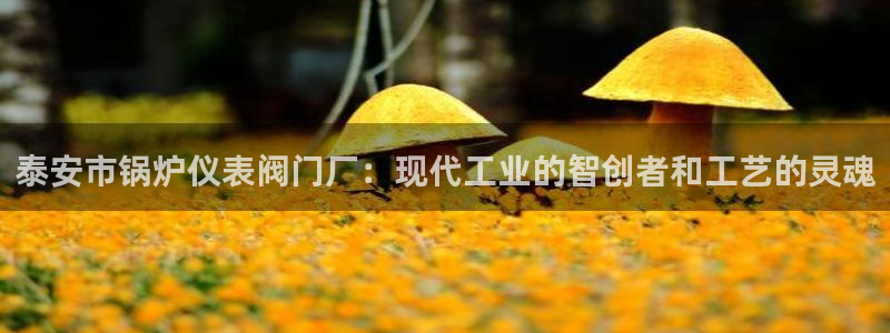 九游会最新入口