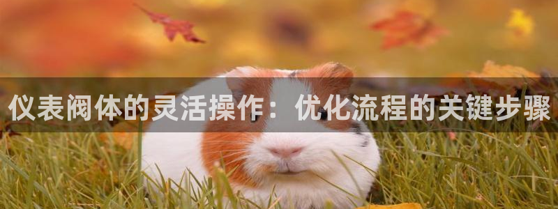 九游会亚洲游戏