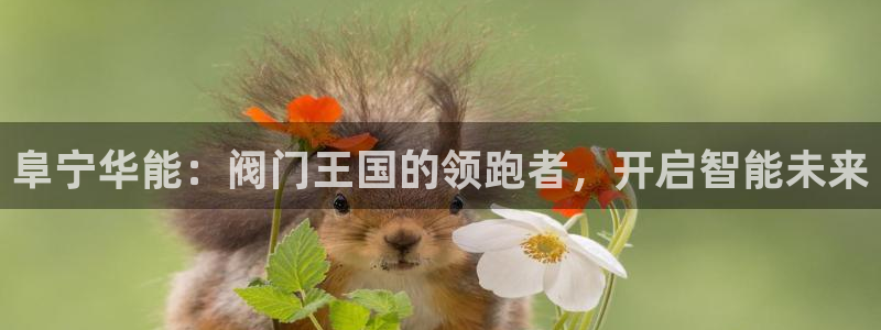 九游会官网九游会登录