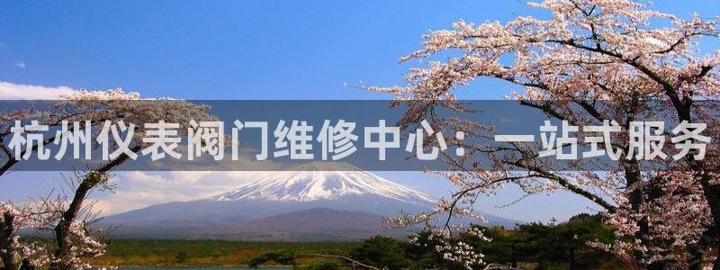 ag九游会网址永不