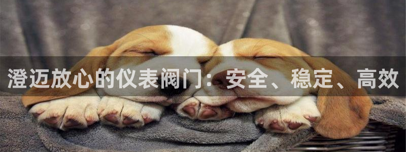 九游账号重复申诉会怎样