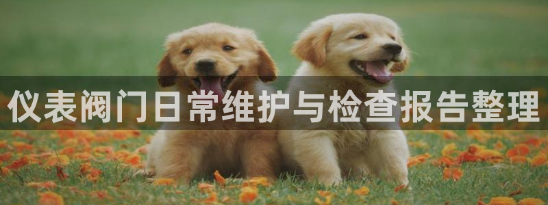 j9九游会国际站